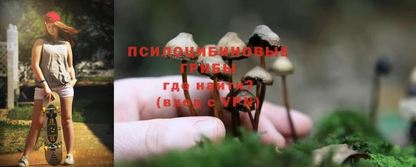 прущая мука Абаза