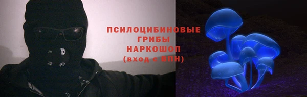 прущая мука Абаза