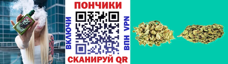 Каннабис тримм  купить   дарк нет формула  Энем 